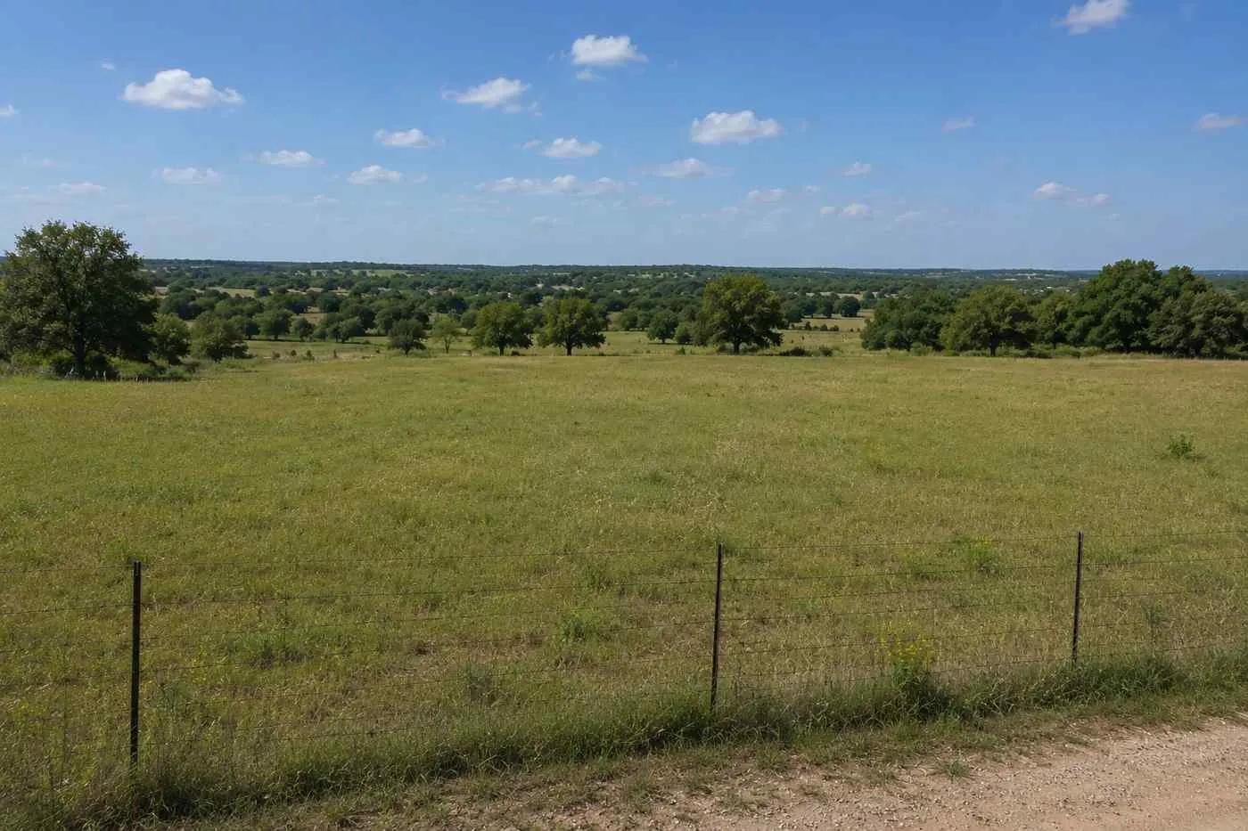 Texas land for sale with open countryside and green rural landscape under blue sky